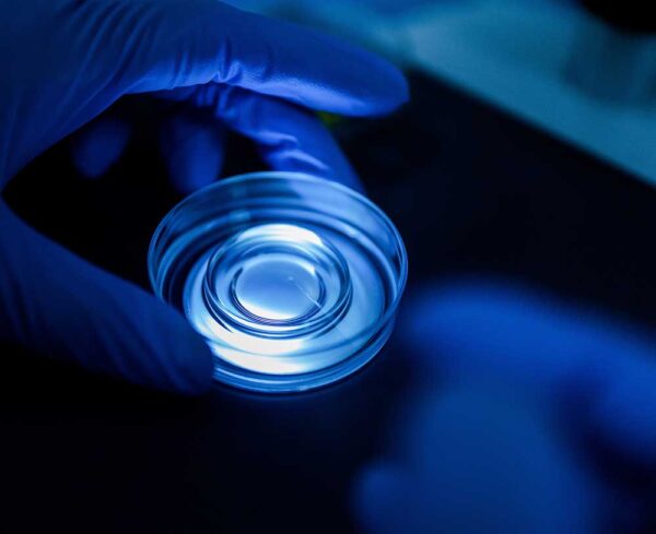 blue lit petri dish being held by person wearing blue latex gloves