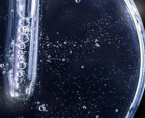 petri dish with bubbles and a dropper picking up the bubbles