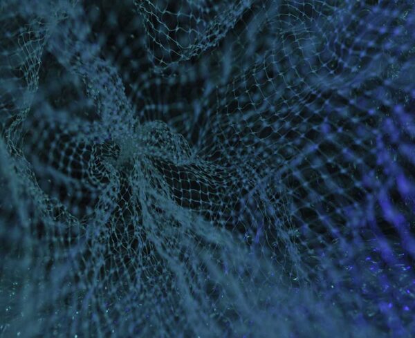 an abstract almost net like image with a blue hue