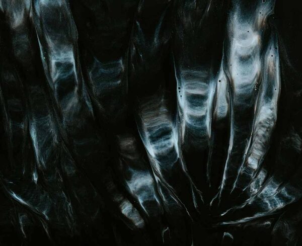 black, white, and blue abstract image with glowing features similar to an X-Ray