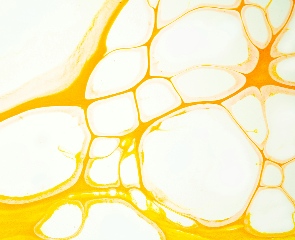 yellow and white liquid separating creating wholes between the elements