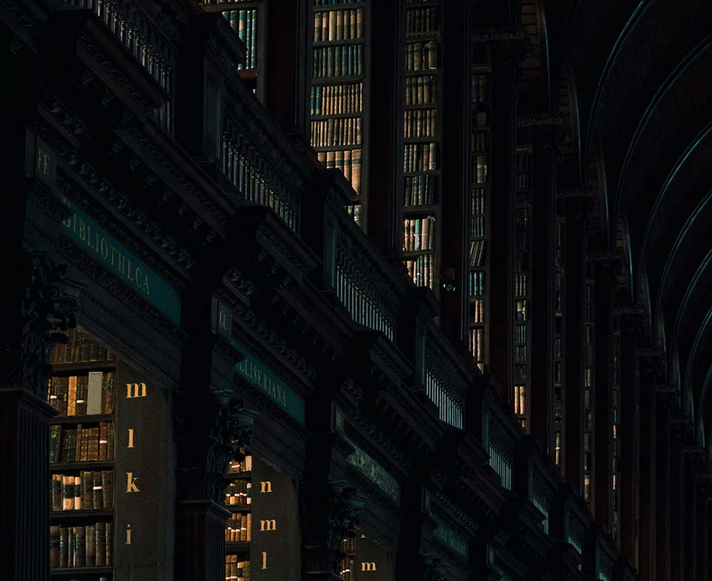inside of a dark library, books and sections of the library