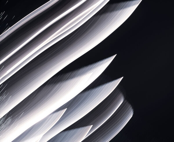 light trails with a flowing, dynamic motion
